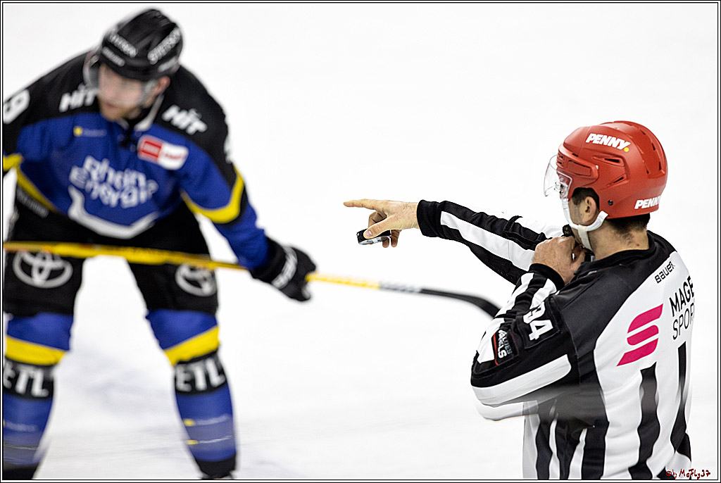 PENNY DEL;  Koelner Haie - Grizzlys Wolfsburg; Koeln, 25.11.2021